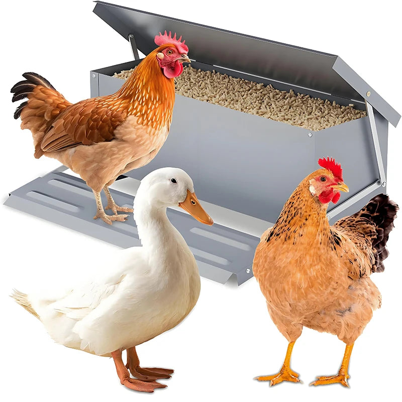 Farm Animals Automatic Chicken Feeder Poultry Feeding Box
