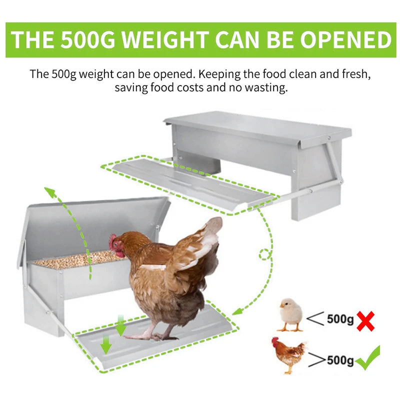 Farm Animals Automatic Chicken Feeder Poultry Feeding Box