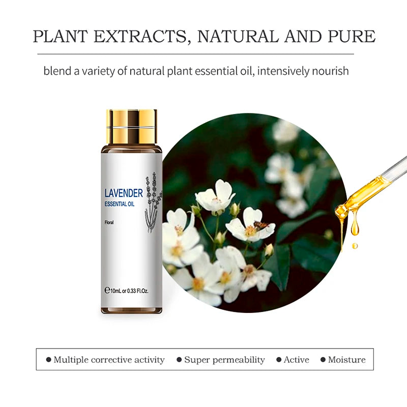 HIQILI Pure Essential Oils Lavender Eucalyptus Jasmine