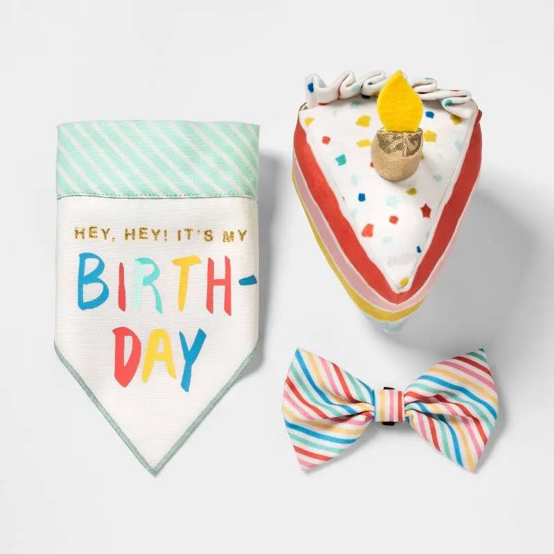 Birthday Cake Plush Dog Toy With Squeaker Crinkle Toy