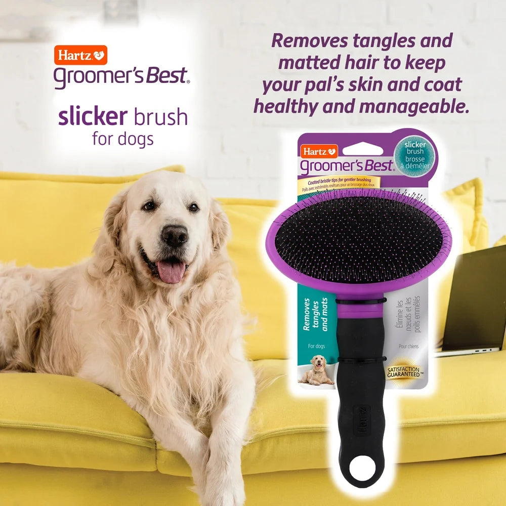 Dutrieux Slicker Brush For Dogs Ergonomic Detangler
