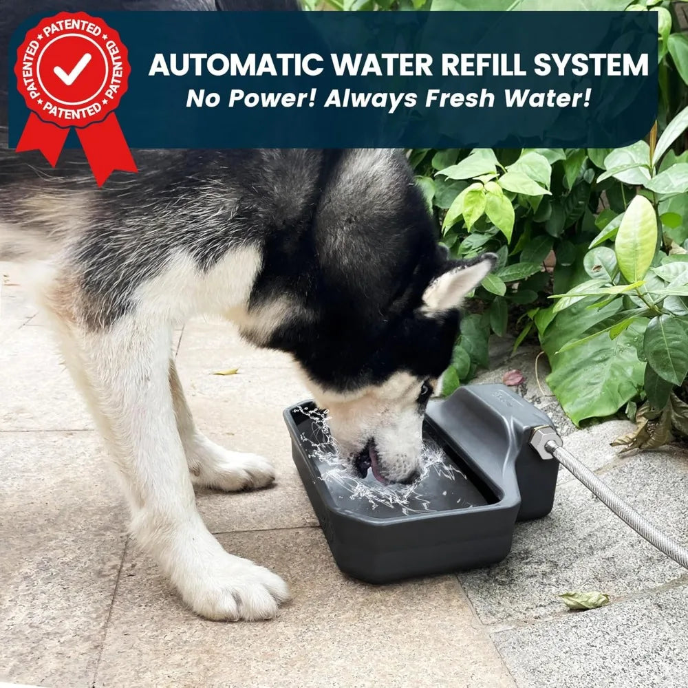 Bliss Core Living Automatic Dog Water Dispenser 1 Gallon