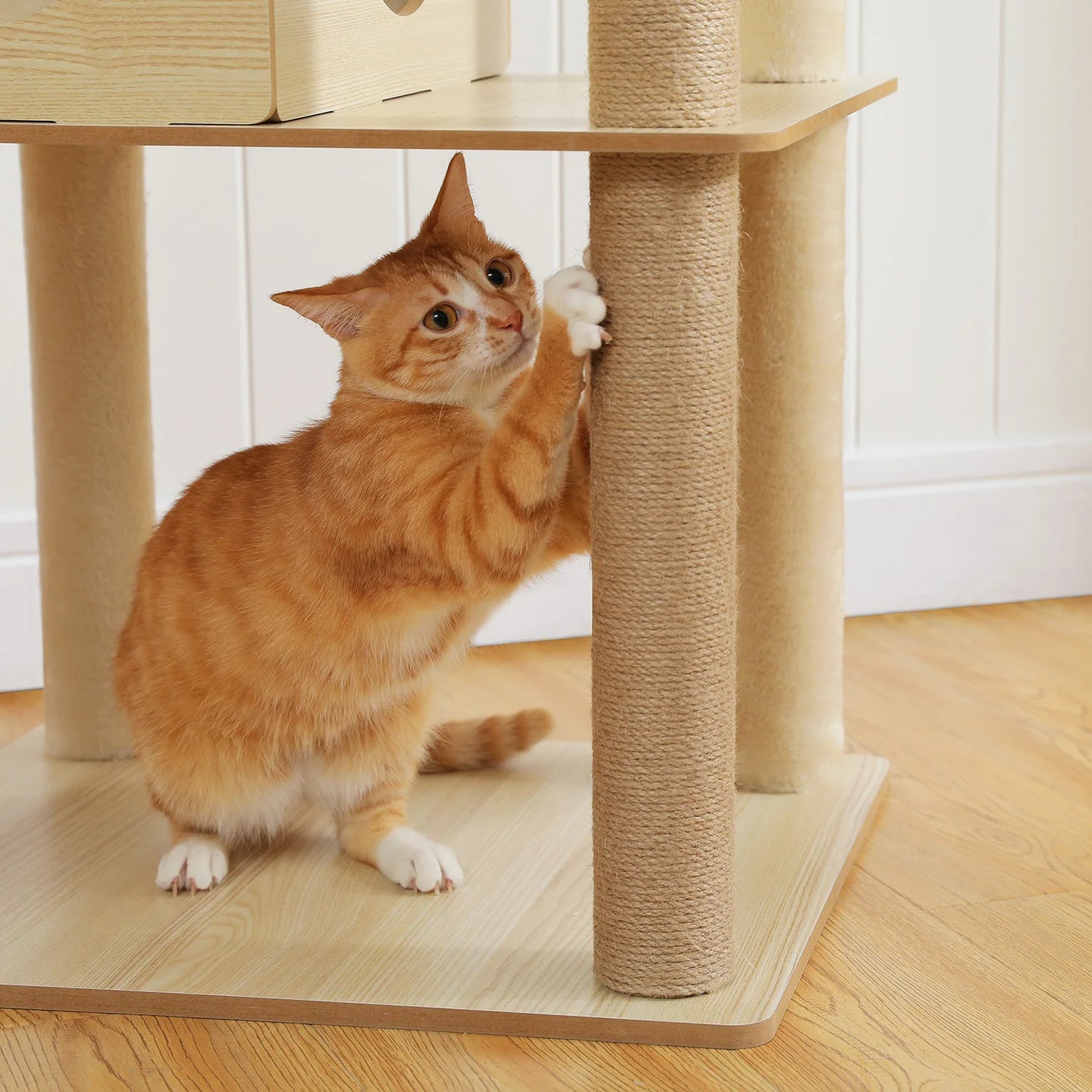PAWZ Road Multi Level Cat Tree Indoor Wood Tower Scratcher