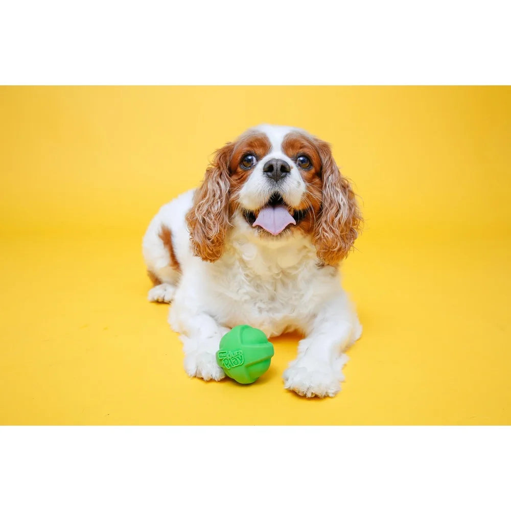 Dutrieux Bacon Scent Squeaker Dog Toy Set Latex Foam 3 Pack