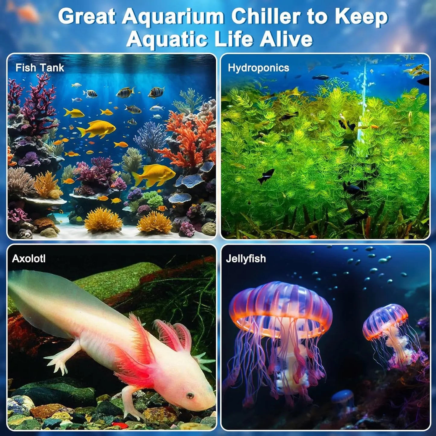 Aquarium Chiller One Third HP With Remote Control Pump