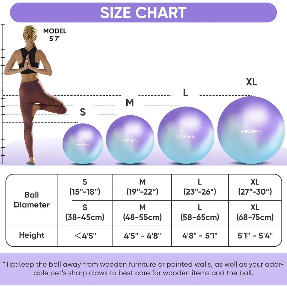 SHXI Yoga And Pilates Ball Anti Slip Heavy Duty Ball